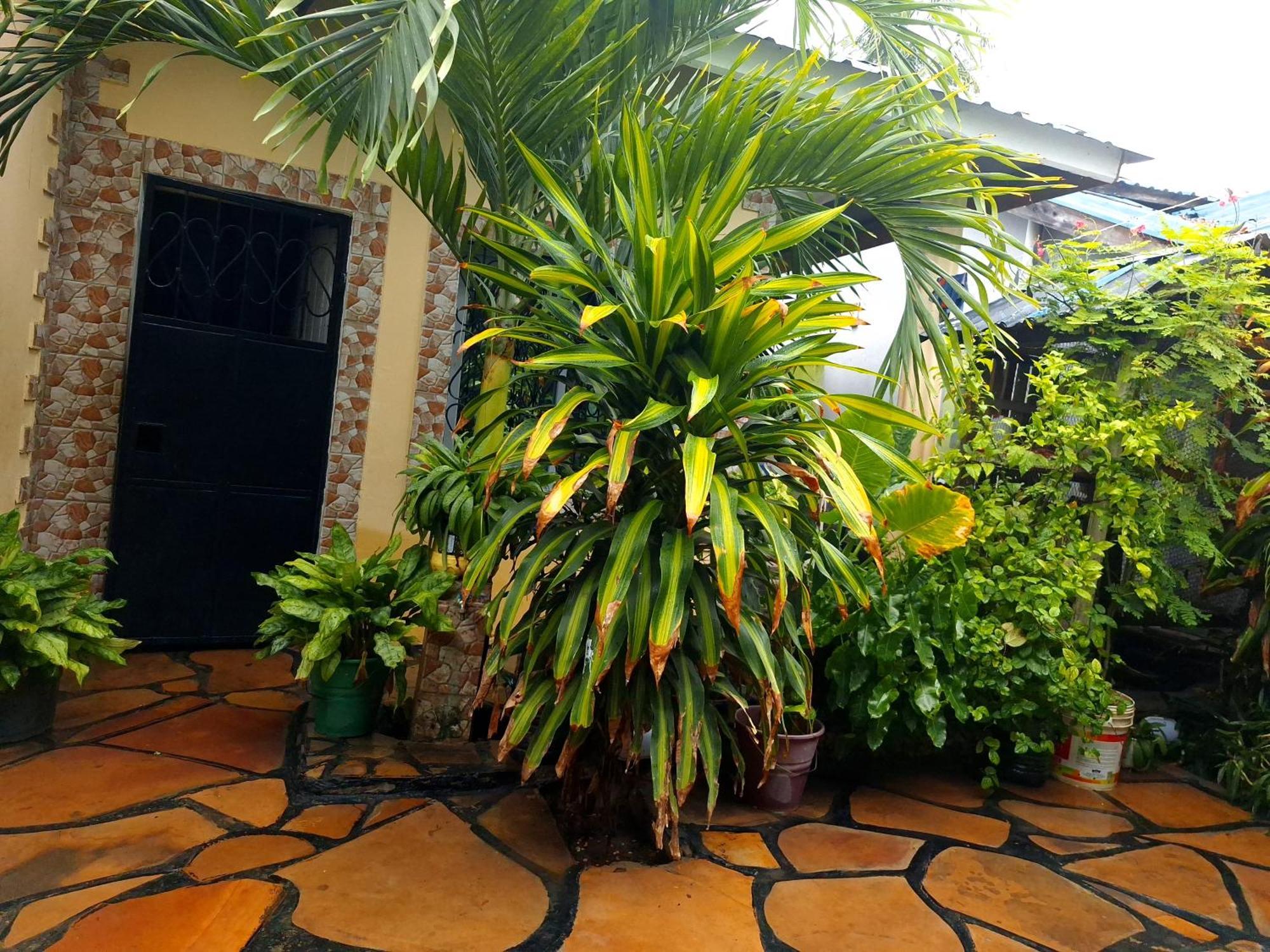Mount Zion Guest House, Mtwapa Mtomondoni Μομπάσα Εξωτερικό φωτογραφία