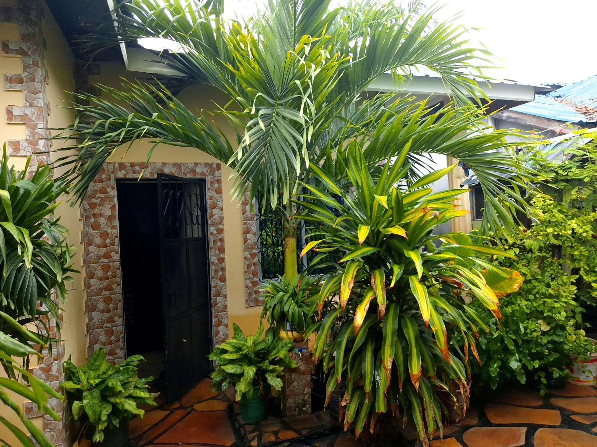 Mount Zion Guest House, Mtwapa Mtomondoni Μομπάσα Εξωτερικό φωτογραφία